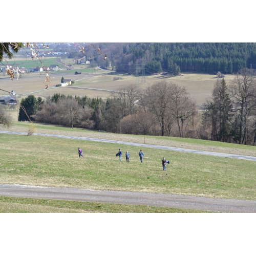 Bild 4 zum Block 1550