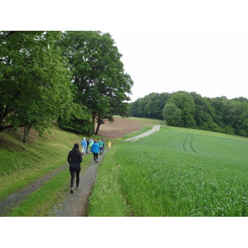 Bild 10 zum Block 1072